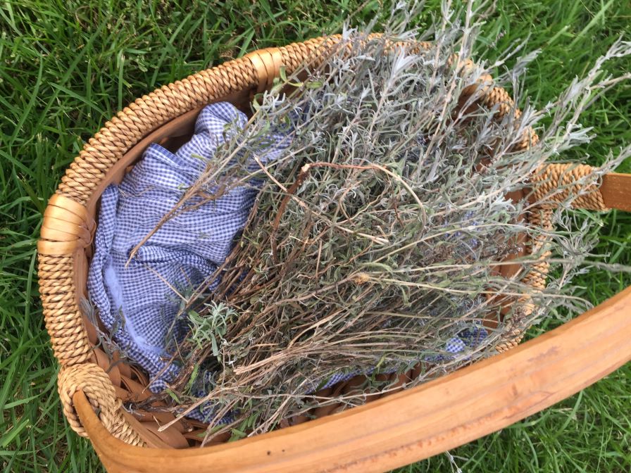 The Pennsylvania German Herb Garden: Food and&nbsp;Medicine